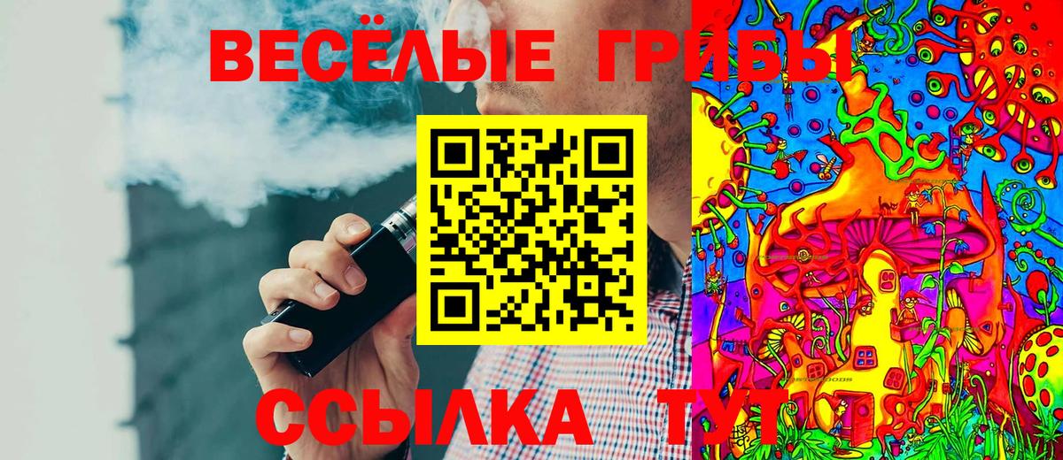 Переславль-Залесский  Псилоцибиновые грибы Cubensis  Вход с VPN 